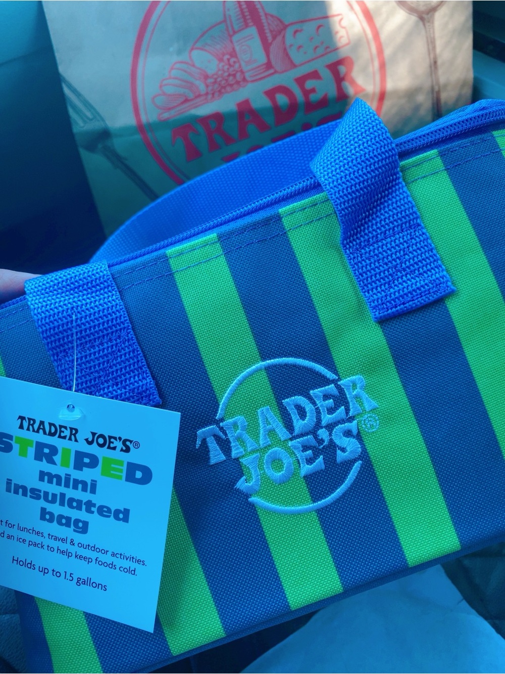Trader Joe's Striped Insulated Mini Bag - Blue & Green